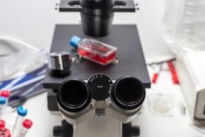 Microscope Inverted / Binocular